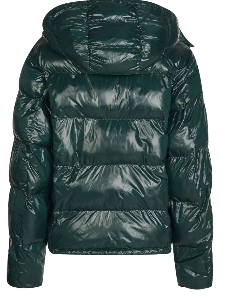 Champion Jacket dark green Darkgreen Online