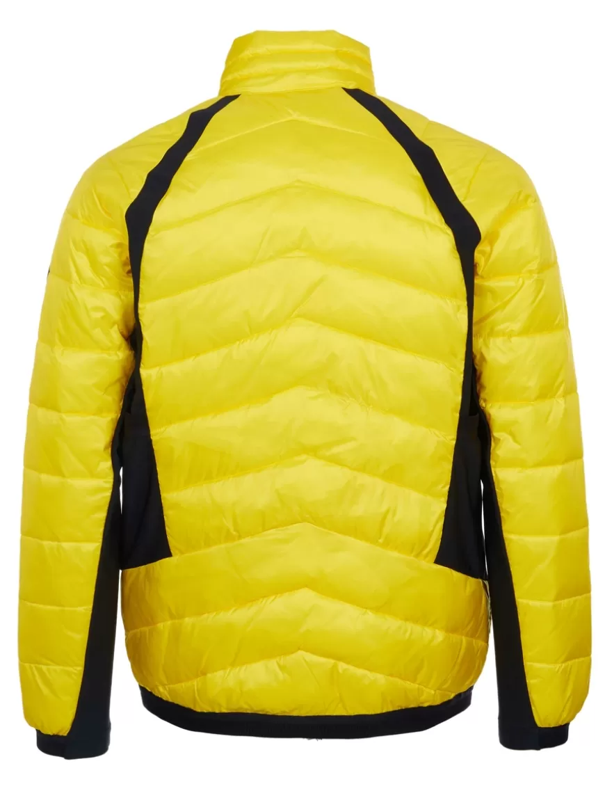 EA7 Emporio Armani Jacket Yellow Store